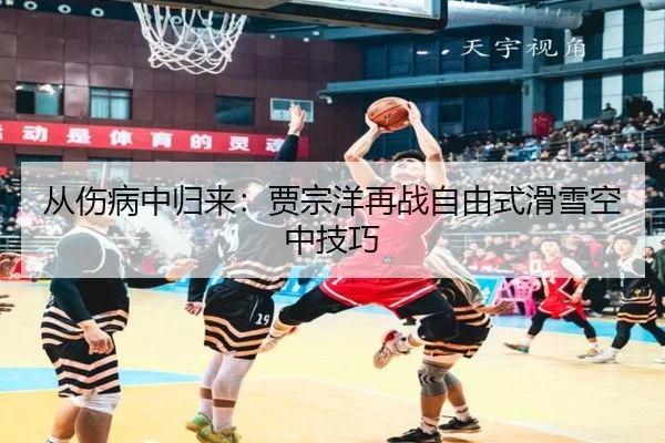 从伤病中归来：贾宗洋再战自由式滑雪空中技巧